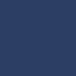 Blue Tit