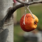 IMG_5840